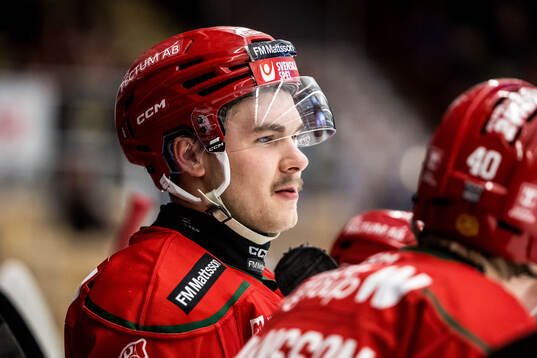 Moras Gustav Salmi-Lilja