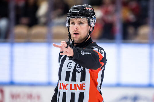 Domare Stefan Leijonklo