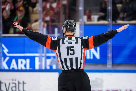 Domare Robin Forslund
