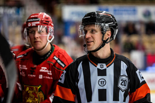 Domare Robin Forslund