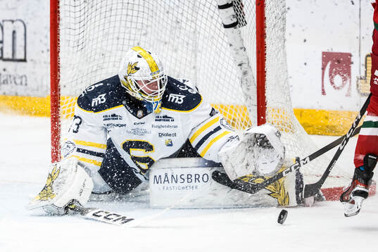 Södertäljes målvakt Love Härenstam