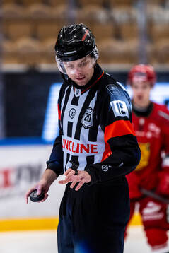 Domare Stefan Leijonklo