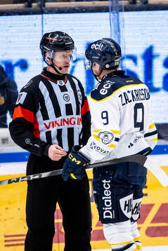 Domare Robin Forslund