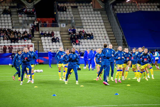 Players of Sweden