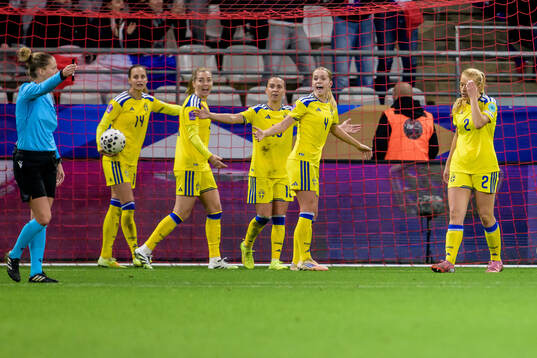 Players of Sweden react