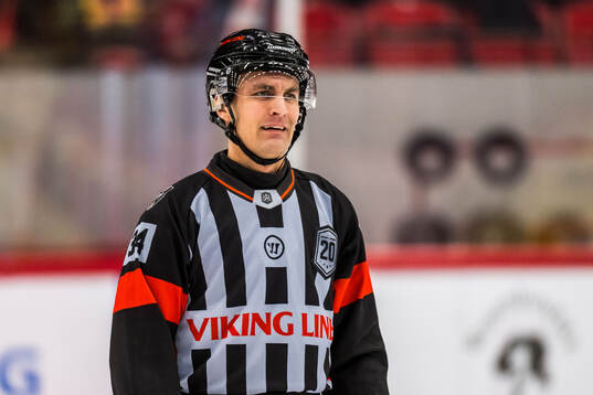 Domare Niclas Lundsgaard