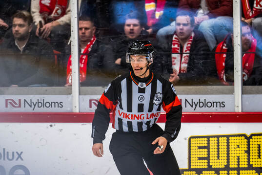 Domare Johan Magnusson
