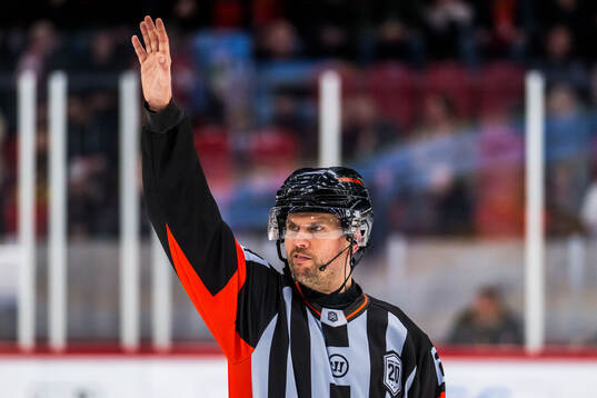 Domare Johan Magnusson