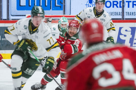 Björklövens målvakt Olle Eriksson Ek