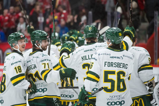 Björklövens spelare jublar