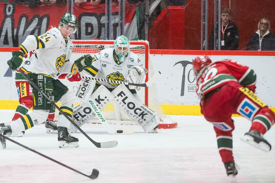 Björklövens målvakt Olle Eriksson Ek