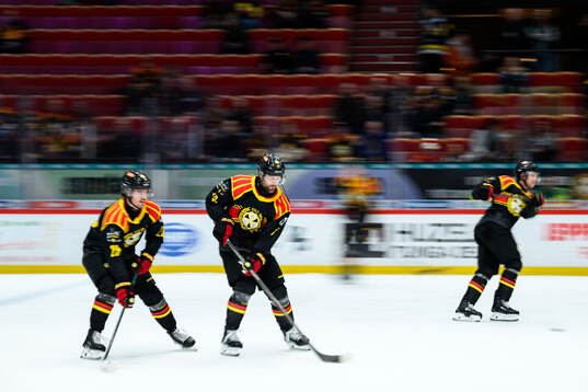 Brynäs Johan Larsson