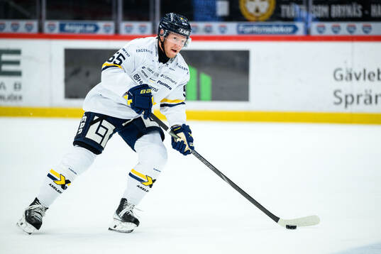 HV71s Andreas Borgman