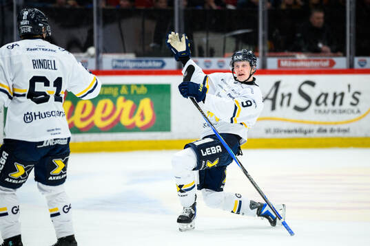 HV71s Hugo Pettersson jublar