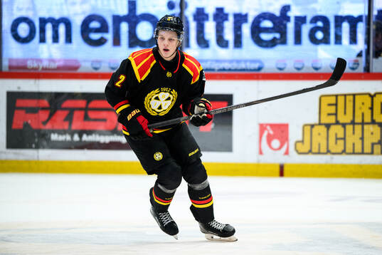 Brynäs Victor Raftheim Hedin