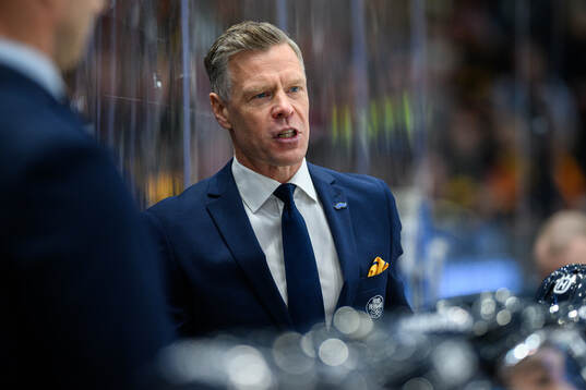 HV71s assisterande tränare Nicklas Rahm