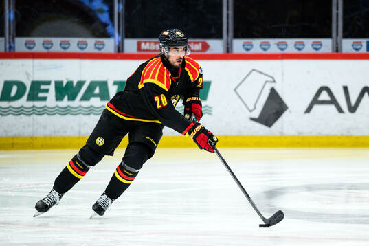 Brynäs Tyler Vesel
