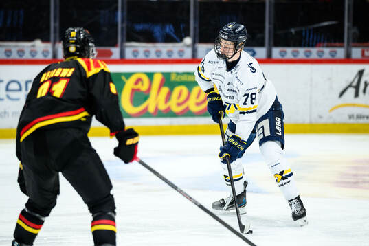 HV71s Malte Gustafsson