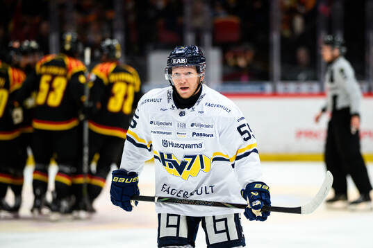 HV71s Andreas Borgman deppar