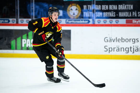 Brynäs Victor Raftheim Hedin