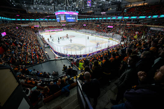 Monitor ERP Arena