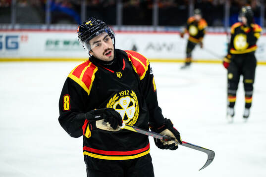 Brynäs Bobby Trivigno