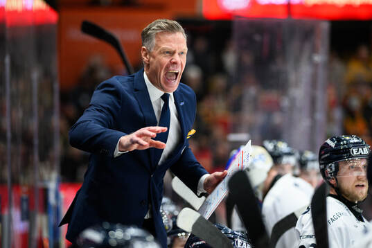 HV71s assisterande tränare Nicklas Rahm