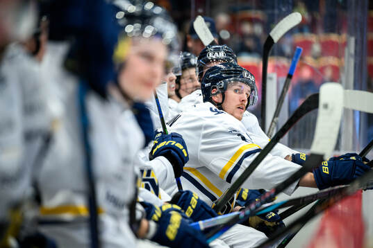 HV71s Niklas Hansson