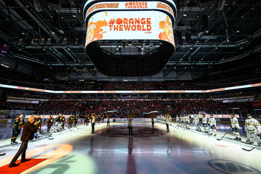 Brynäs och HV71s spelare