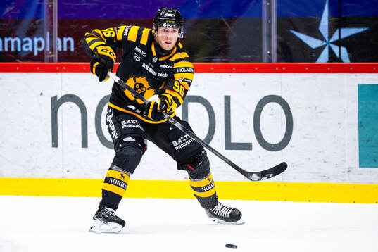 Skellefteås Rickard Hugg