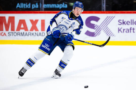 Leksands Tinus Luc Koblar