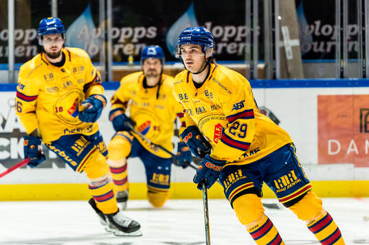 Djurgårdens Håvard Salsten