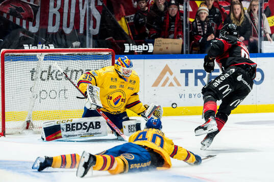 Malmö Redhawks Axel Sundberg och Djurgårdens målvakt