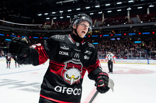 Bläddra bland fler bilder av Ishockey, SHL, Malmö Redhawks - Djurgården