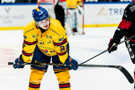 Djurgårdens Håvard Salsten deppar
