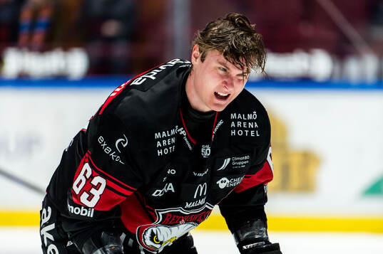 Malmö Redhawks Fredrik Händemark