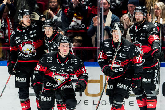 Malmö Redhawks Petter Vesterheim jublar