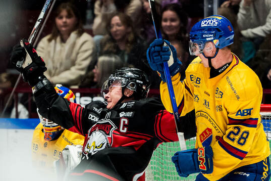 Malmö Redhawks Fredrik Händemark