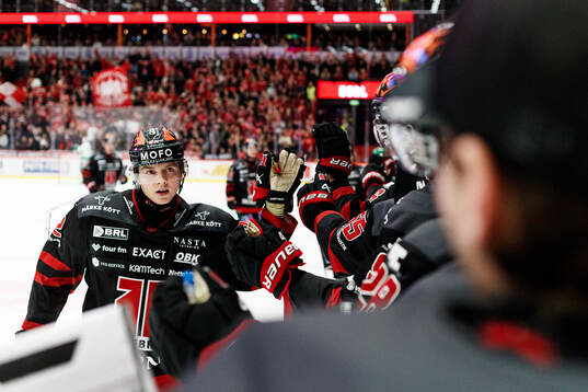 Bläddra bland fler bilder av Ishockey, SHL, Örebro - Rögle