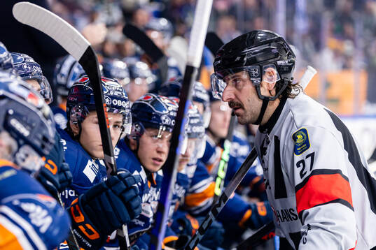 domare Mikael Sjöqvist