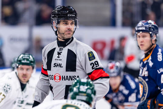 domare Richard Magnusson