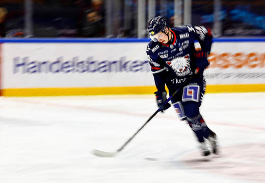 Linköpings Loke Krantz