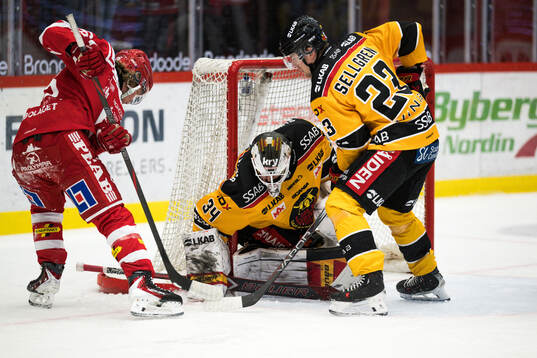 Timrås Anton Heikkinen och Luleås målvakt Joel