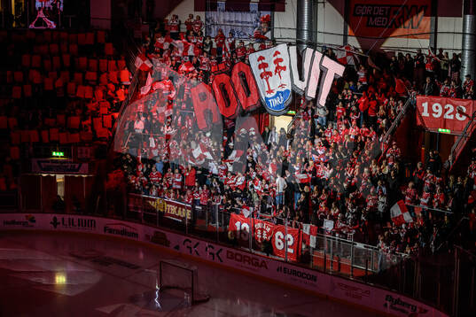 Publiken med tifo