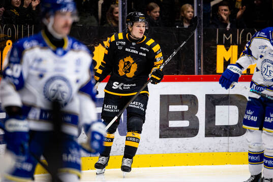Skellefteås Zeb Forsfjäll