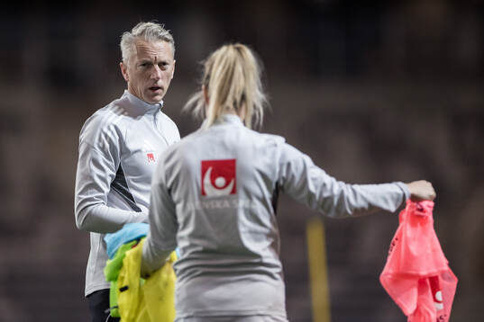 Assistant coach Niklas Egnell