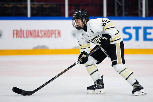SDEs Lisa Johansson
