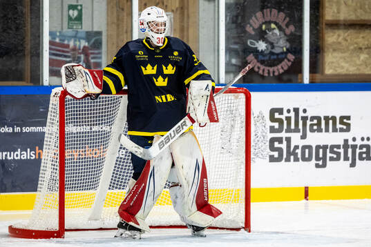 Manne Holmkvist
