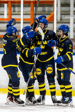 Anton Toivola Henriksson
