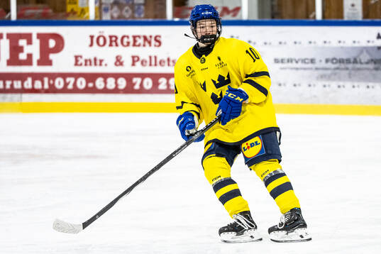 Bläddra bland fler bilder av Ishockey, träningsmatch, P16, Sverige Gul - Sverige Blå